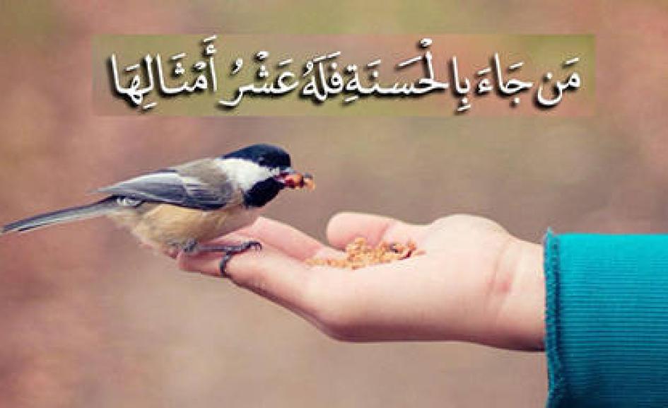 blog image