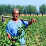 ДЕҲҚОНЧИЛИК ШАРАФЛИ КАСБДУР.