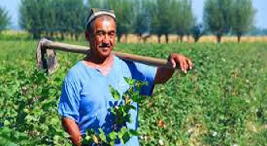 ДЕҲҚОНЧИЛИК ШАРАФЛИ КАСБДУР.