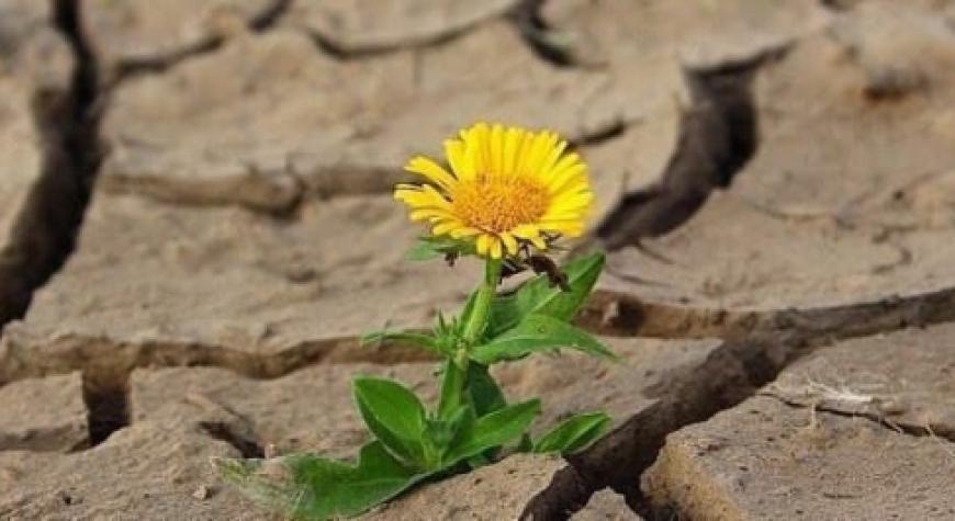 ЁШЛАРИМИЗНИ ЁТ ҒОЯЛАРДАН АСРАЙЛИК!