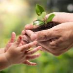 ИСЛОМДАГИ МЎМИНЛАРНИНГ УМУМИЙ МАСЪУЛИЯТИ