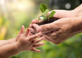 ИСЛОМДАГИ МЎМИНЛАРНИНГ УМУМИЙ МАСЪУЛИЯТИ