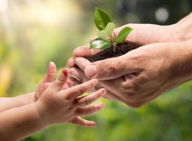 ИСЛОМДАГИ МЎМИНЛАРНИНГ УМУМИЙ МАСЪУЛИЯТИ