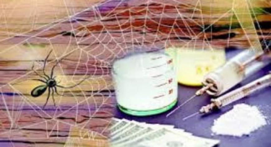 ГИЁҲВАНДЛИК – КАТТА ГУНОҲ