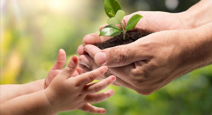 ФАРЗАНД ТАРБИЯСИ — СОФ ФИТРАТНИ АСРАШ МАСЪУЛИЯТИ.