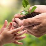 ФАРЗАНД ТАРБИЯСИДА ОТА-ОНА МАСУЛИЯТИ