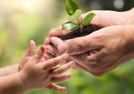 ФАРЗАНД ТАРБИЯСИДА ОТА-ОНА МАСУЛИЯТИ