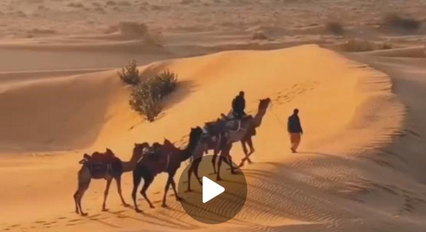 DOʻSTNI  HAQQIGA DOIM DUODA BOʻLISH LOZIM