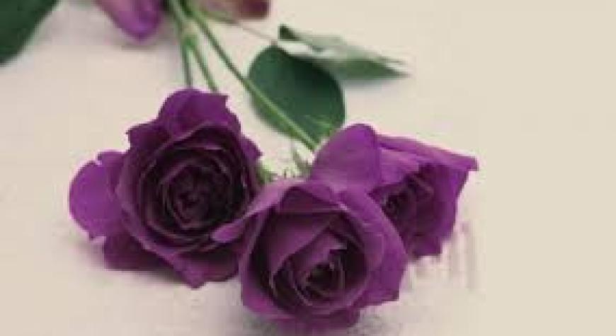 ДИНИМИЗДА АЁЛНИ ҚАДРИ