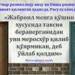 ҚЎШНИЧИЛИК ҲАҚЛАРИ ВА МАСЪУЛИЯТЛАРИ