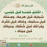 УМР – ҒАНИМАТ