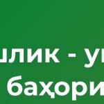 ЁШЛИК УМР БАҲОРИ.