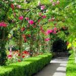 АЁЛ КЎНГЛИНИ ТОПГАН ЭРКАК — ФАҚАТ ОИЛА БОШЛИҒИ ЭМАС....