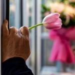 ХОТИН-ҚИЗЛАР ИСЛОМ НИГОҲИДА