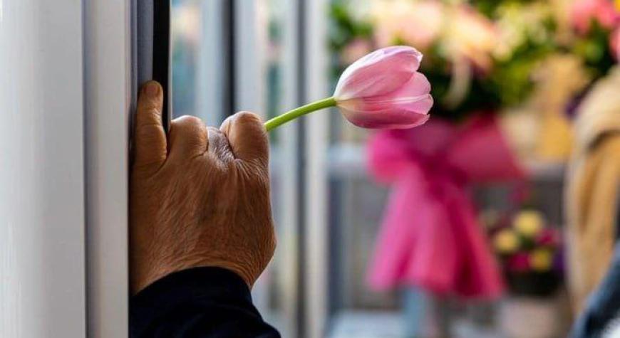 ХОТИН-ҚИЗЛАР ИСЛОМ НИГОҲИДА