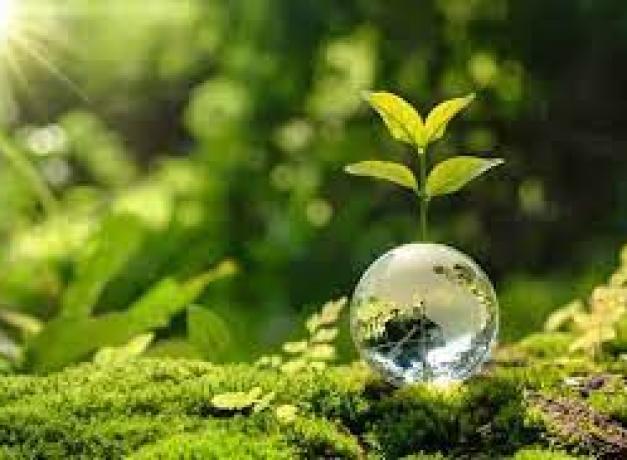 АТРОФ-МУҲИТНИ АСРАШ ВА ТОЗА ТУТИШ — ИНСОНИЙ МАСЪУЛИЯТ.