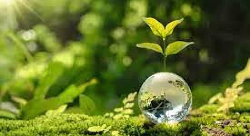 АТРОФ-МУҲИТНИ АСРАШ ВА ТОЗА ТУТИШ — ИНСОНИЙ МАСЪУЛИЯТ.