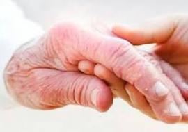 ОТА-ОНАГА ХИЗМАТ – ОЛИЙ ҲИММАТ