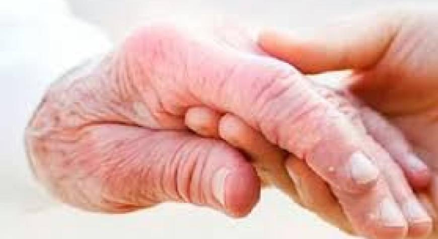 ОТА-ОНАГА ХИЗМАТ – ОЛИЙ ҲИММАТ