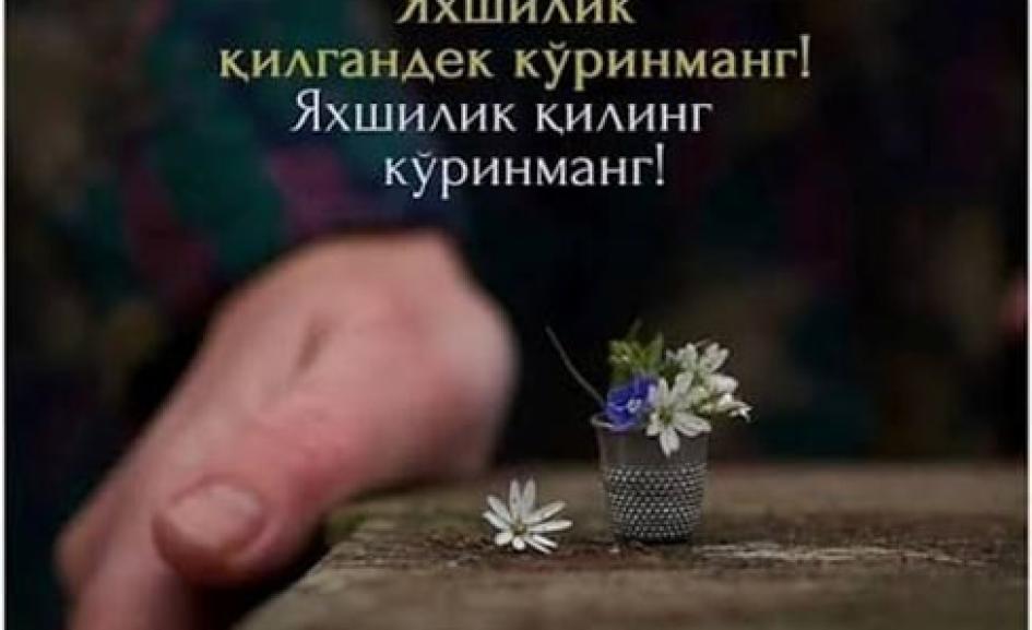 blog image