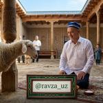 ҚУРБОНЛИК ОДОБЛАРИ