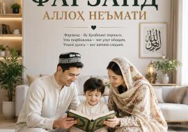 ФАРЗАНД АЛЛОҲ НЕЪМАТИ.