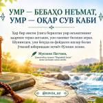 УМР — БЕБАҲО НЕЪМАТ, УМР — ОҚАР СУВ КАБИ