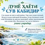 ДУНЁ ҲАЁТИ СУВ КАБИДИР