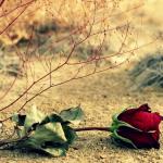 “ЭЙ ФАРЗАНДЛАРИМ, СИРА АЖРАШМАНГ – ФАРЗАНДЛАР ЕТИМ БЎЛМАСИН”