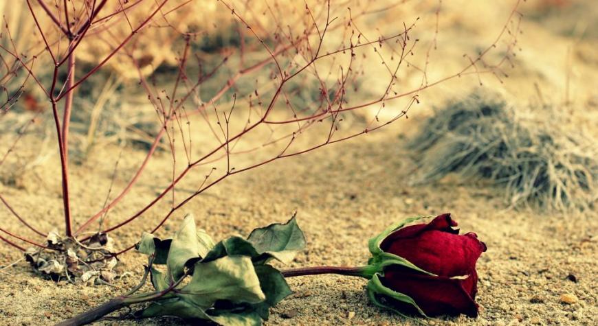 “ЭЙ ФАРЗАНДЛАРИМ, СИРА АЖРАШМАНГ – ФАРЗАНДЛАР ЕТИМ БЎЛМАСИН”